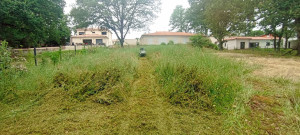 Photo de galerie - Tracteur tondeuse avec bac de ramassage et débroussailleuse à roue. Les hautes herbes ne leur font pas peur!