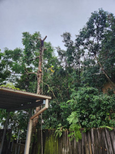 Photo de galerie - Démontage en rétention 