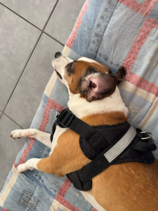 Photo de galerie - Petite sieste ♥️