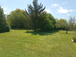 Photo de galerie - TONTE PELOUSE ET DÉBROUSSAILLAGE 