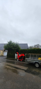 Photo de galerie - AVANT 
Taille de haie thuyas.