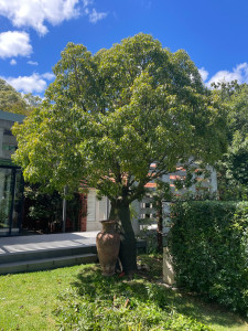 Photo de galerie - Espace Vert