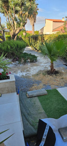 Photo de galerie - Paysagiste - Aménagement du jardin