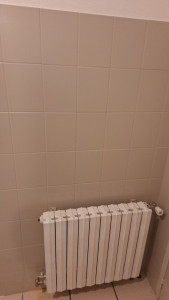 Photo de galerie - Peinture faillance 