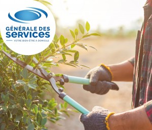 Photo de galerie - Tonte de pelouse - Débroussaillage