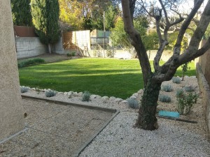 Photo de galerie - Taille, pose brise vue, plantations, arrosage, gazon