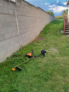 Photo de galerie - Tonte de pelouse - Débroussaillage
