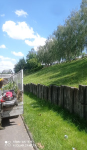 Photo de galerie - Tonte de pelouse - Débroussaillage