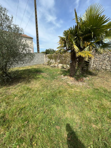 Photo de galerie - Débroussaillage (après)