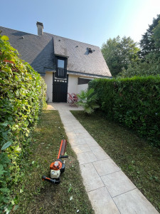 Photo de galerie - Taille  de Haie et Tonte pelouse 