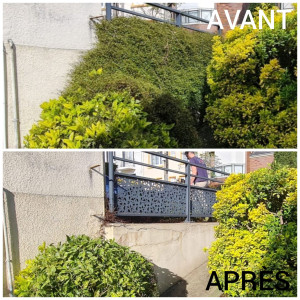 Photo de galerie - Éclaircissage d'un muret