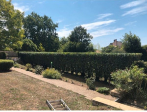 Photo de galerie - Bonjour 

Entretien espaces verts 
 
vous propose les prestations 
au meilleur prix 

✅Taille d'arbre
✅ Taille de haies Débrous 
✅ Tonte de pelouse 
✅ débroussaillage 
✅ évacuation des végétaux 
✅ Nettoyage remise en état jardin
