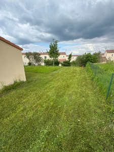 Photo de galerie - Tonte de pelouse 