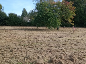 Photo de galerie - Broyage d'un verger Après travaux.?