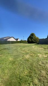 Photo de galerie - Tonte 