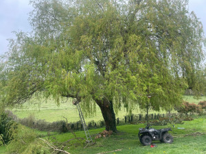 Photo de galerie - Entretien parc et jardin