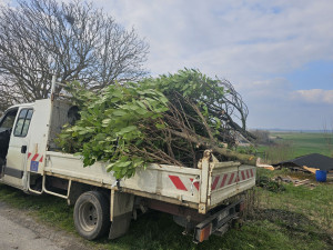 Photo de galerie - E acuation de dechet vert