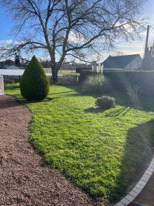 Photo de galerie - Entretien de jardin