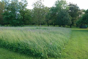 Photo de galerie - Tonte jardin