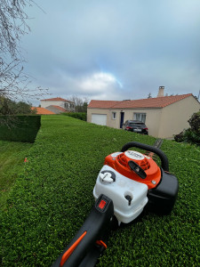 Photo de galerie - Taille de haies et d'arbustes