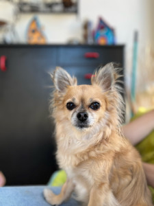 Photo de galerie - Praline ! 