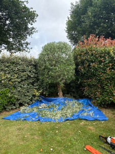 Photo de galerie - APRÈS 