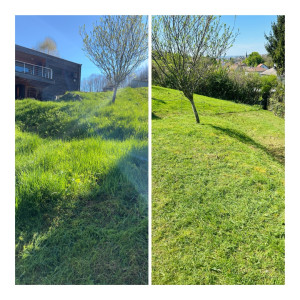 Photo de galerie - Débroussaillage en pente 