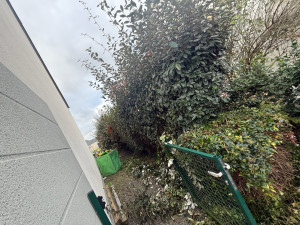 Photo de galerie - Rabattage d’une haie de 2 m