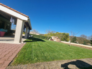 Photo de galerie - Engazonnement