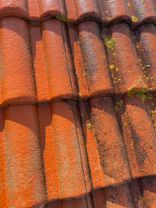 Photo de galerie - Bricolage et multi services