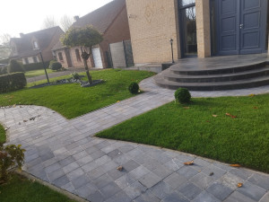 Photo de galerie - Préparation pose rouleau de gazon 
plantation et création de massif 