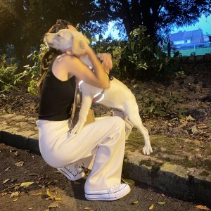 Photo de galerie - Garde animaux