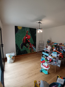 Photo de galerie - Peinture plafond blanc mat 
peinture murale blanc cassé velours plus pose panoramique Spider-Man pour le bonheur de ce petit garçon