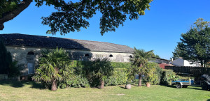 Photo de galerie - Entretien espaces verts 