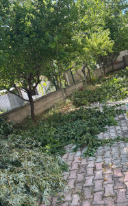 Photo de galerie - Remise en état 