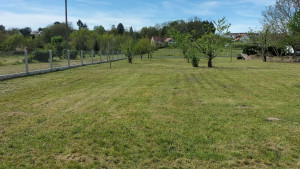 Photo de galerie - Bonjour je vous présente une de mes prestations pour tonte de pelouse 