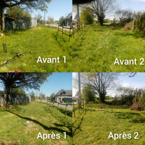 Photo de galerie - Réalisation de débroussaillage 