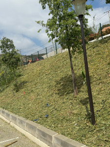 Photo de galerie - Débroussaillage à la lame