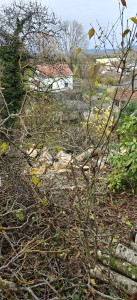 Photo de galerie - Démontage noyer fendu