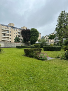 Photo de galerie - Un beau jardin qui au début en friche et après des semaines et mois de travail voici le résultat 