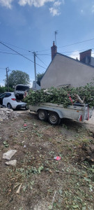 Photo de galerie - 4 arbres coupé et débarrassé