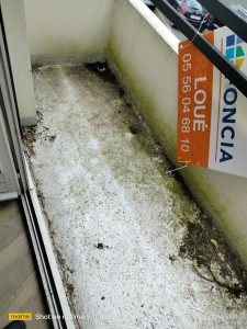 Photo de galerie - Ménage