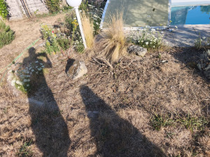 Photo de galerie - Jardinier