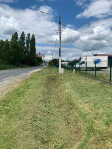 Photo de galerie - Tonte de pelouse - Débroussaillage