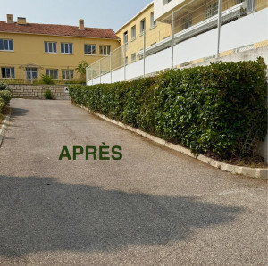 Photo de galerie - Taille de haies et d'arbustes