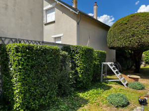 Photo de galerie - Taille de lauriers 