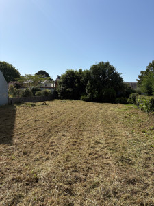 Photo de galerie - Broyage de parcelle au broyeur à fléaux 