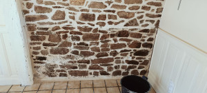 Photo de galerie - Reprise de joints sur mur en pierre 