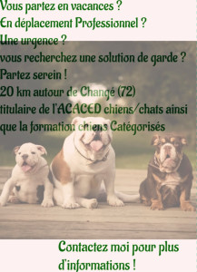 Photo de galerie - Je vous propose mes services dans les meilleurs délais, je suis aux petit soins de vos animaux. 