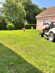 Photo de galerie - Tonte de pelouse
